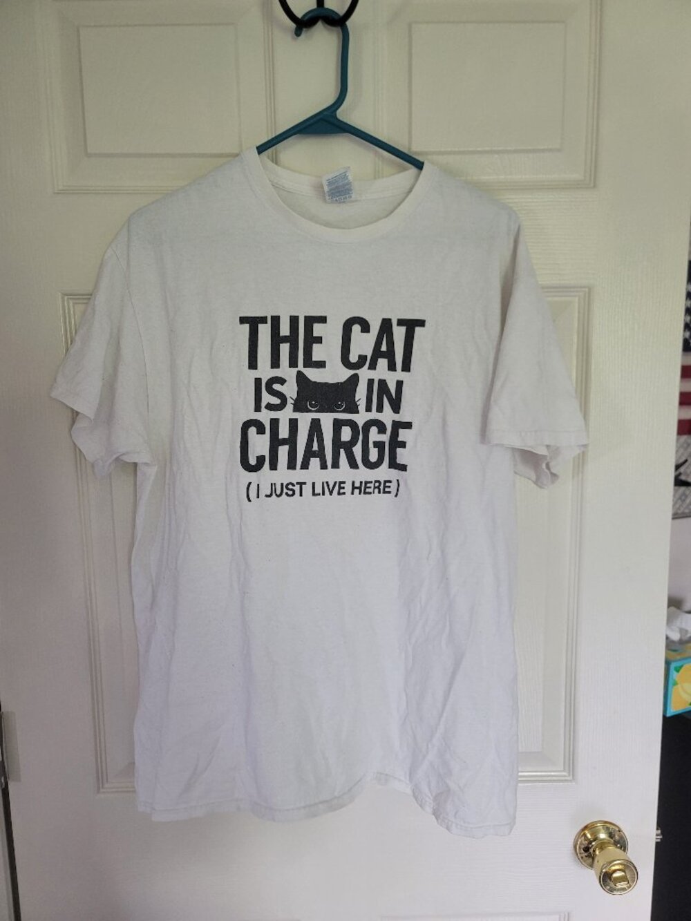 White and black "The Cat Is In Charge" t shirt - has some fuzzies - size L
